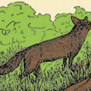 LG Wildscheibe Fuchs Sonder (1385-N)