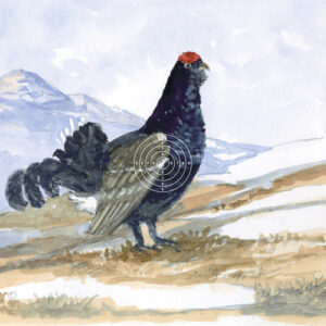 LG Wildscheibe Spielhahn (1700-N)