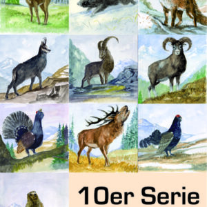 LG-Wildscheiben-MIX (1720-N)