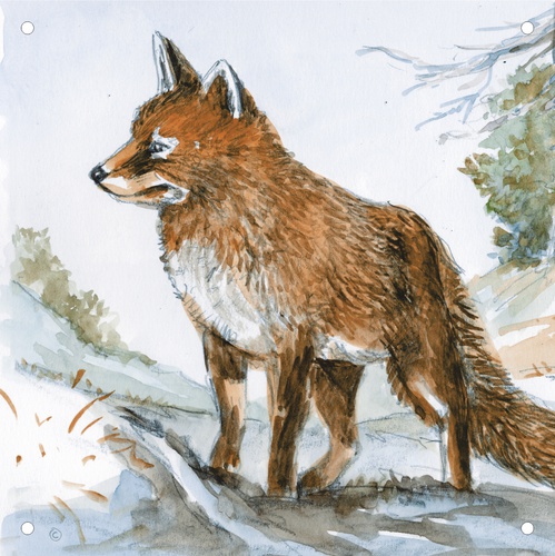 Vorsatzspiegel DISAG Wildscheibe Fuchs (6385)