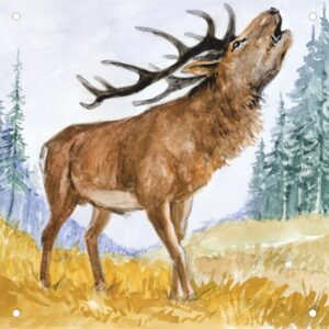 Vorsatzspiegel DISAG Wildscheibe Hirsch (6415)