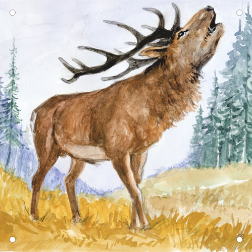 Vorsatzspiegel DISAG Wildscheibe Hirsch (6415)