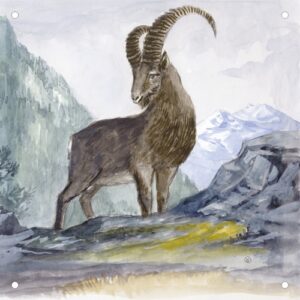 Vorsatzspiegel DISAG Wildscheibe Steinbock (6435)