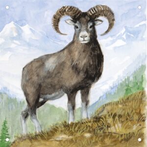 Vorsatzspiegel DISAG Wildscheibe Mufflon (6445)