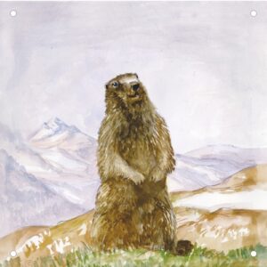 Vorsatzspiegel DISAG Wildscheibe Murmele (6465)