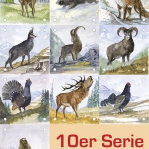 Vorsatzspiegel DISAG Wildscheiben-MIX (6475)