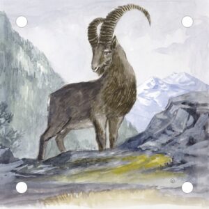 Vorsatzspiegel MEYTON Steinbock (6660)